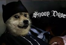 Giá Dogecoin đạt đỉnh mới sau tweet của Snoop Dogg