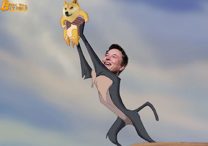 Xuất hiện ví tiền Dogecoin (DOGE) 3 tỷ USD có liên hệ với Elon Musk