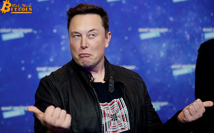 Elon Musk muốn biến Bitcoin thành vàng