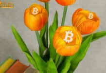 'Bitcoin ngày nay giống hoa tulip 300 năm trước'