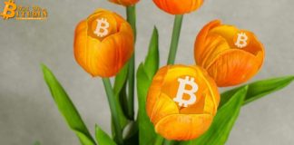 'Bitcoin ngày nay giống hoa tulip 300 năm trước'