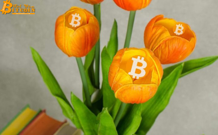 'Bitcoin ngày nay giống hoa tulip 300 năm trước'