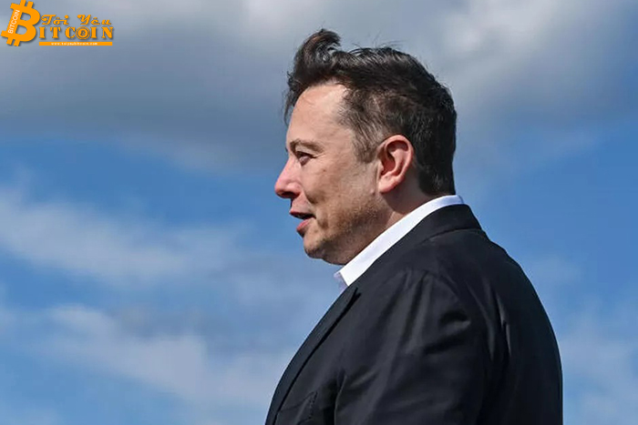 'Hiệu ứng Elon Musk' phơi bày rủi ro của Bitcoin