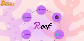Alameda Research rót 20 triệu USD vào Reef Finance