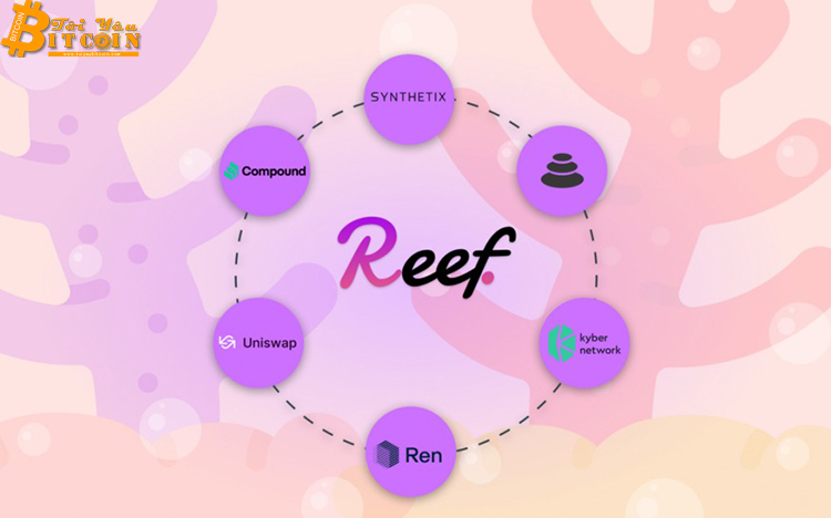 Alameda Research rót 20 triệu USD vào Reef Finance