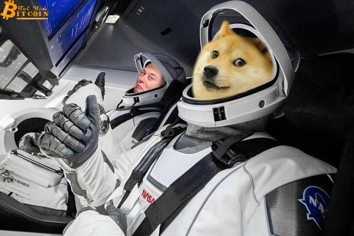 Elon Musk lại thổi giá Dogecoin