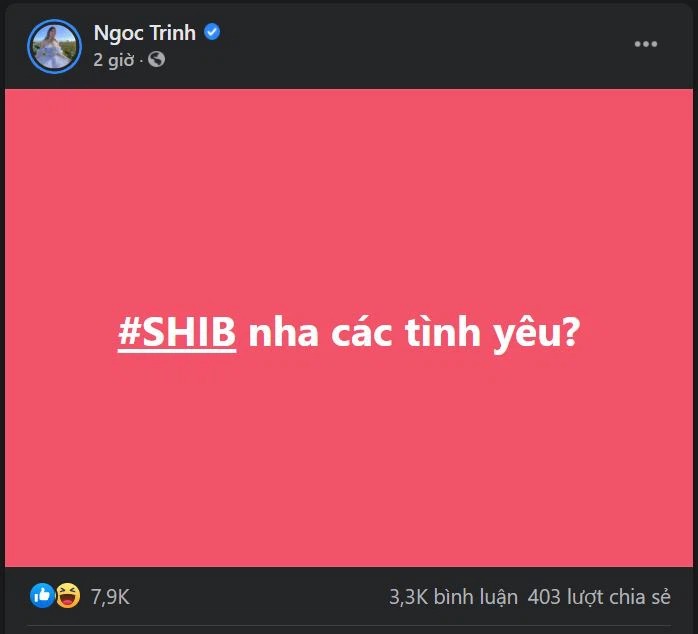 Ngọc Trinh đăng trạng thái Facebook về đồng tiền ảo shiba. (Ảnh chụp màn hình).