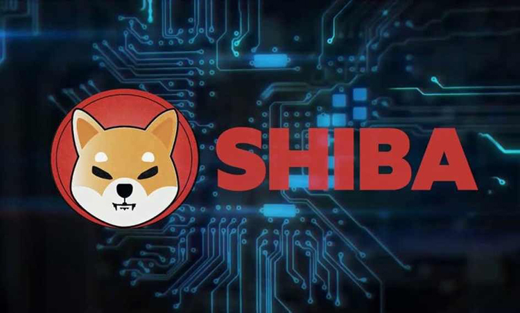 Đồng tiền mã hóa mới cũng lấy biểu tượng chó Shiba, đối đầu với Dogecoin.