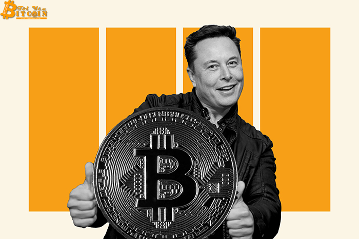Elon Musk đang tìm cách cứu Bitcoin