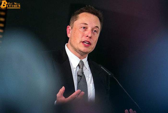 Nhà đầu tư muốn Elon Musk ngừng 'lái' tiền số
