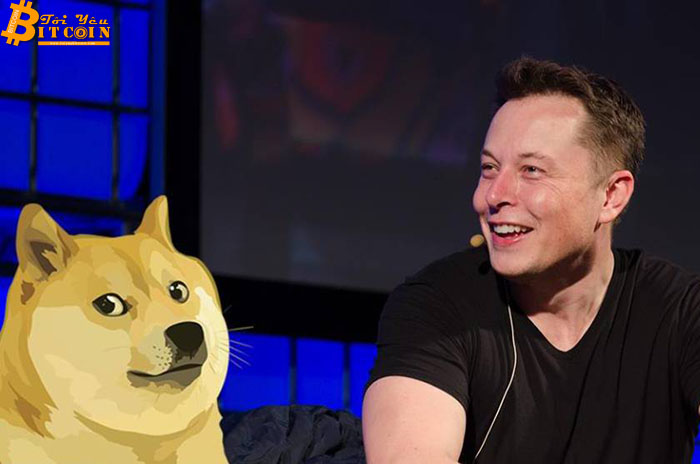 Elon Musk ám chỉ cha đẻ Ethereum là ‘kẻ sợ chó’