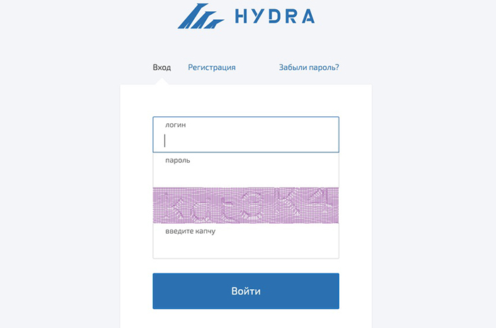 Cần phần mềm đặc biệt để truy cập web đen Hydra. Ảnh: ZDNet.