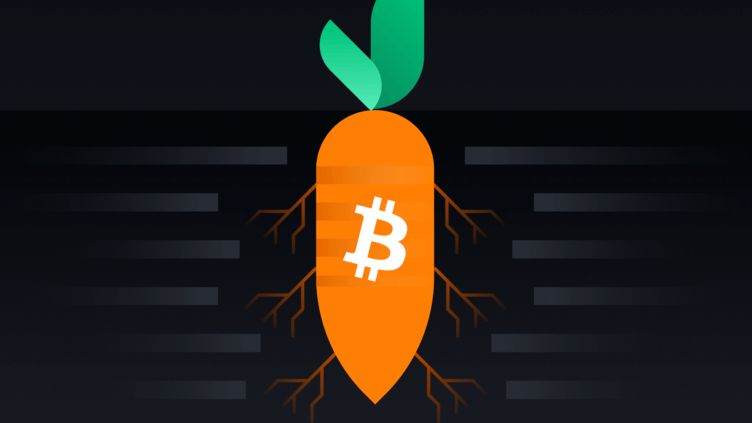 Bản nâng cấp Bitcoin Taproot