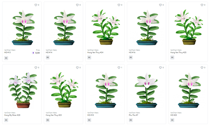 Mỗi cây lan thuộc cùng một giống sẽ được đánh số để phân biệt.