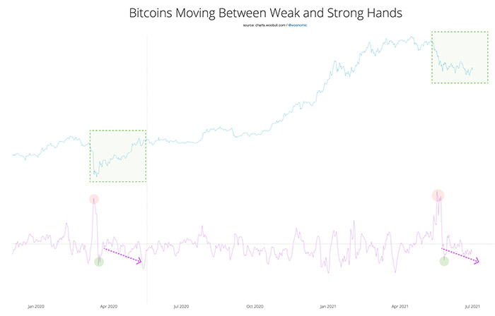 Bitcoin đang chuyển từ “những cánh tay yếu” sang những “người khỏe gồng”. Nguồn: Bản tin Willy Woo
