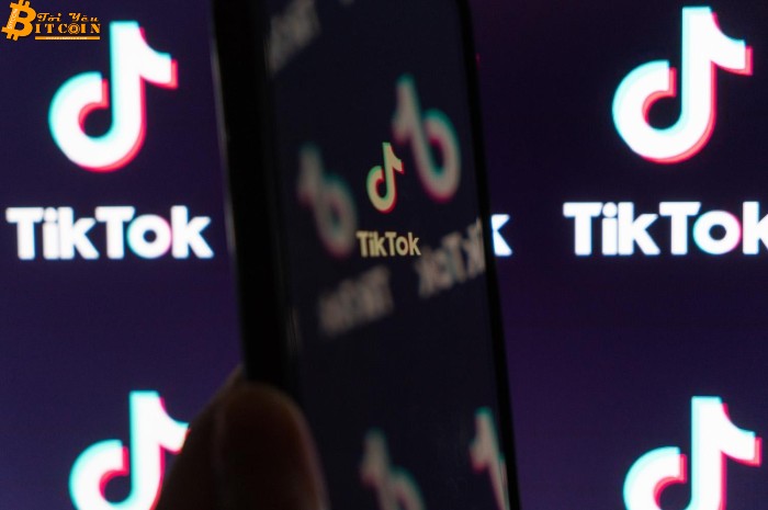 TikTok hợp tác với nền tảng streaming Audius