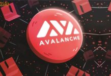 Avalanche nhận đầu tư 230 triệu usd để hỗ trợ hệ sinh thái DeFi, giá AVAX lập đỉnh mới
