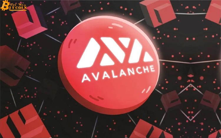 Avalanche nhận đầu tư 230 triệu usd để hỗ trợ hệ sinh thái DeFi, giá AVAX lập đỉnh mới