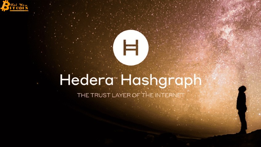 Hedera Hashgraph thành lập quỹ trị giá 4,5 tỷ USD để mở rộng hệ sinh thái