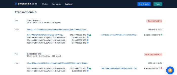 Nguồn: Blockchain.com