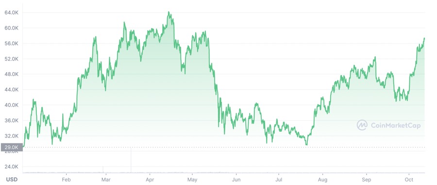 Diễn biến giá Bitcoin từ đầu năm đến nay.