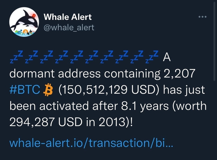 Ví cá voi 150 triệu USD năm 2013 được kích hoạt lại. Nguồn: Twitter