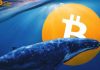 Ai là chủ ví 'cá voi' lớn thứ ba thị trường Bitcoin?