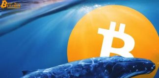 Ai là chủ ví 'cá voi' lớn thứ ba thị trường Bitcoin?