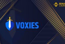 Voxies (VOXEL) là gì? Cùng tìm hiểu dự án IEO thứ 25 trên Binance Launchpad