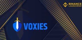 Voxies (VOXEL) là gì? Cùng tìm hiểu dự án IEO thứ 25 trên Binance Launchpad
