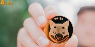 Flexa hỗ trợ thanh toán Shiba inu