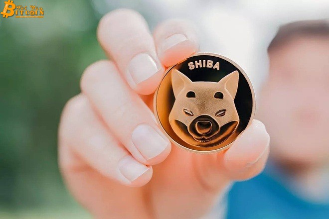 Flexa hỗ trợ thanh toán Shiba inu