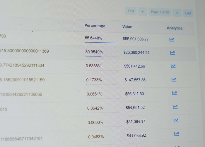 Hai địa chỉ ví chứa 95% lượng token ZUKI.