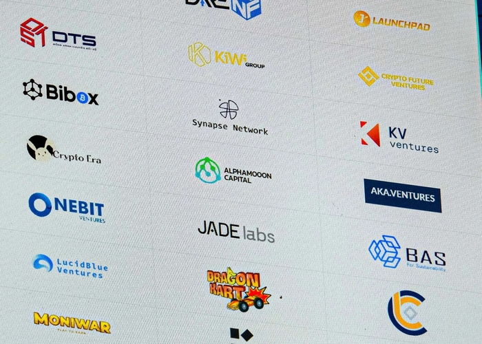 Danh sách đối tác một dự án GameFi Việt có sự góp mặt của nhiều tổ chức tự nhận là "quỹ đầu tư" trong nước.