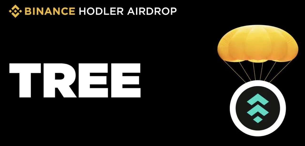 Treehouse (TREE) là gì?