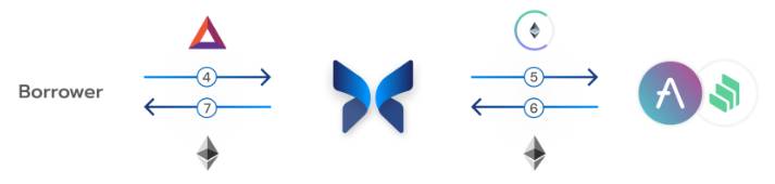 Cách thức hoạt động của Morpho Protocol đối với người vay