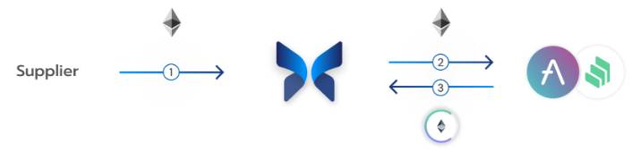 Cách thức hoạt động của Morpho Protocol đối với người cho vay