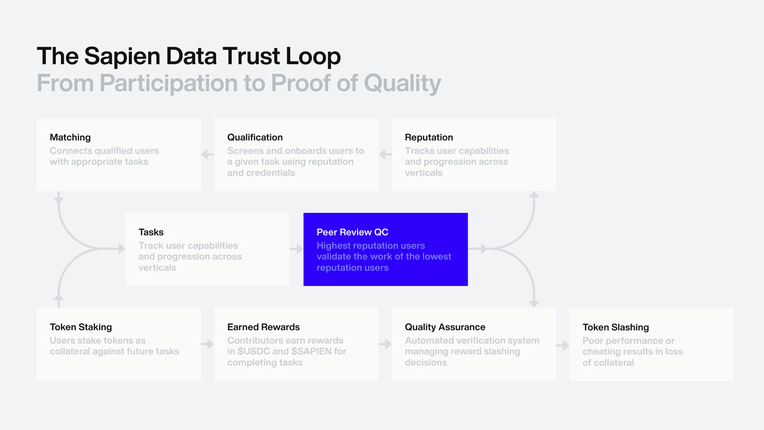 Mô hình hoạt động của Sapien
